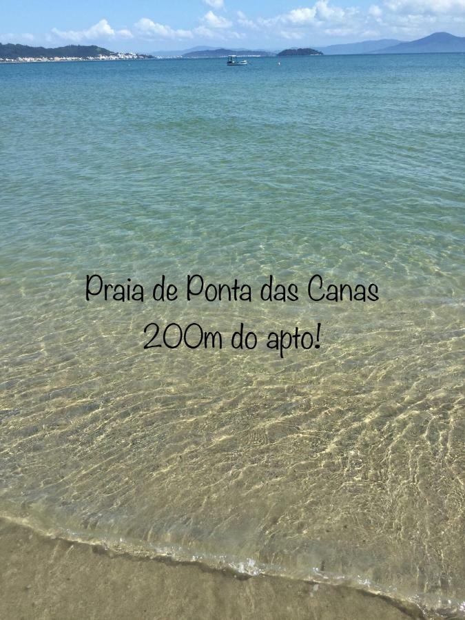 Apto 2 Quartos Com Ar A 200M Da Praia フロリアノポリス エクステリア 写真